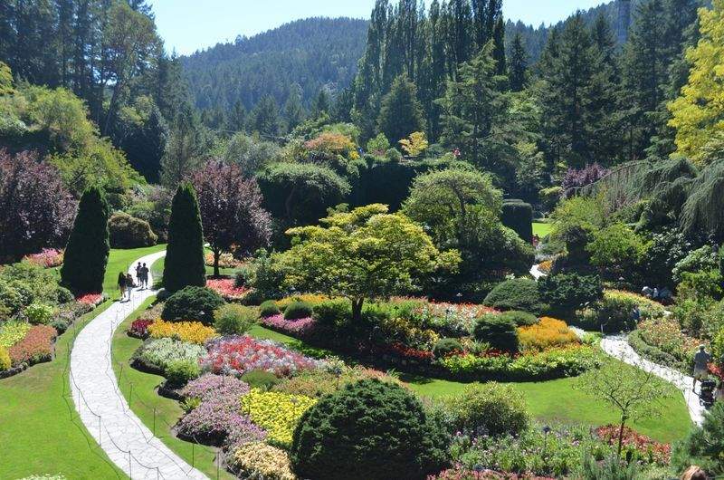 Spring Garden Prep: Simple Steps for a Healthier Landscape