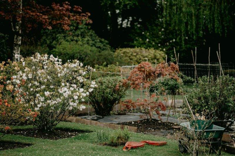 Choosing the Right Plants for Shaded Areas