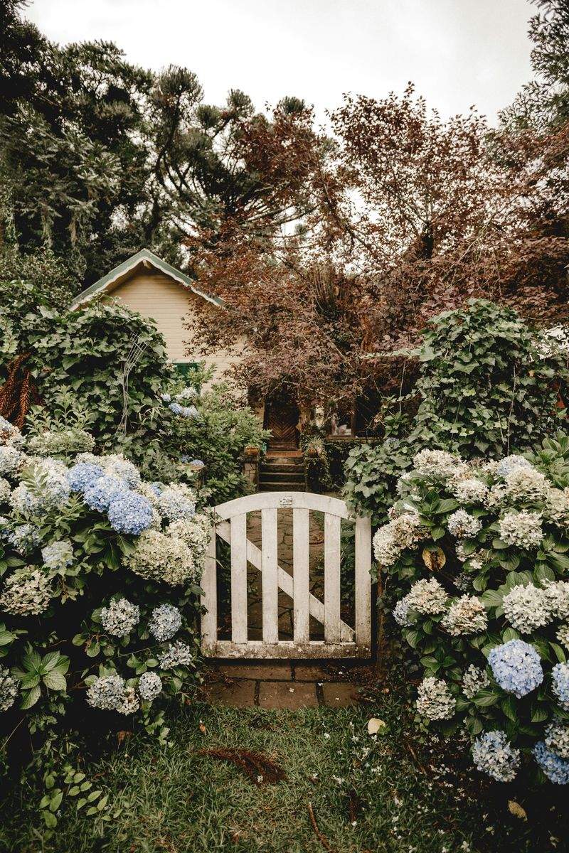 Mulching and soil improvement